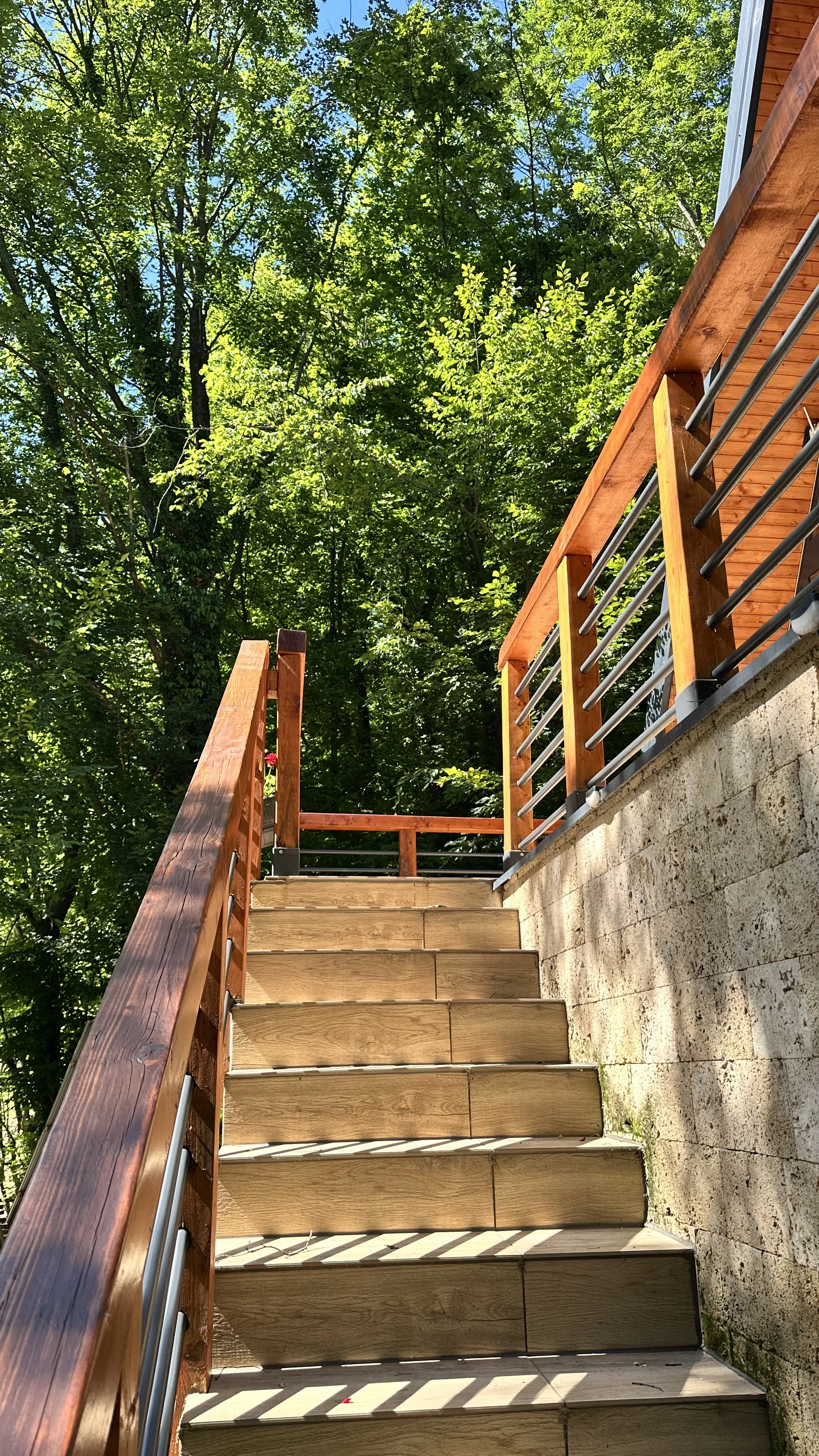 Tisa — fotografija 13